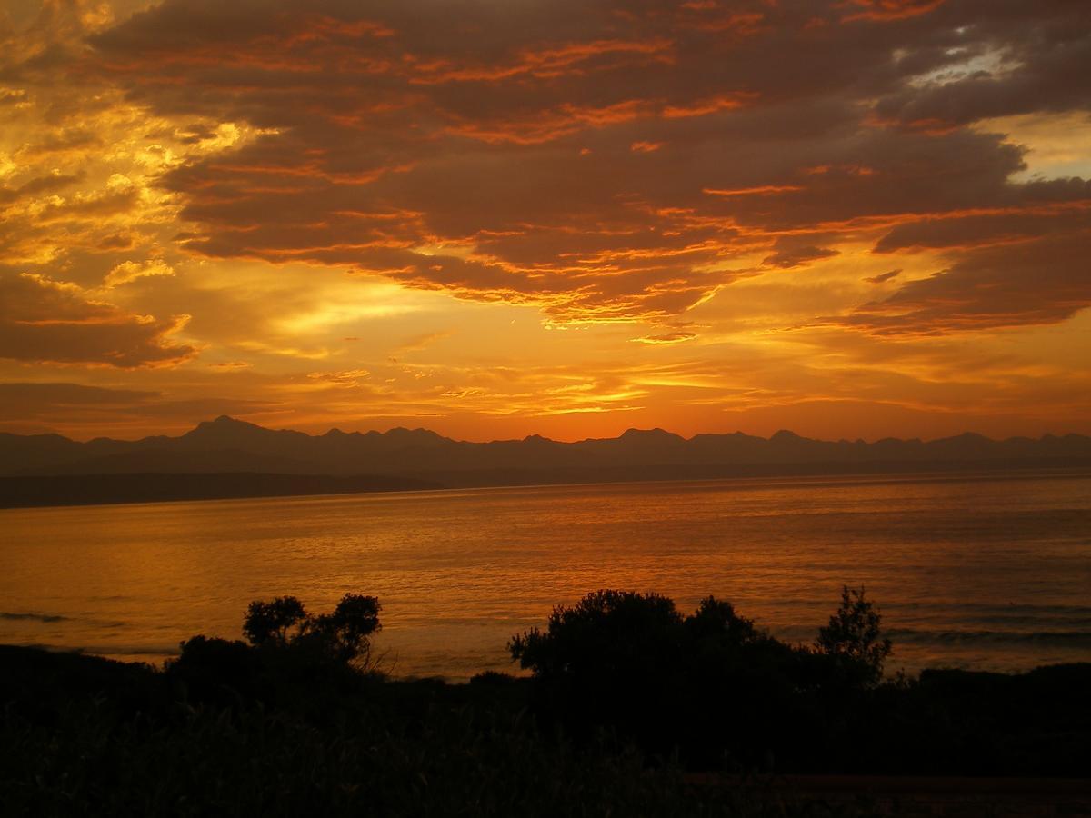 Dolphins' Playground Beachfront B&B Plettenberg Bay Esterno foto